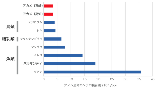 アカメと他の生物との遺伝的多様性の比較